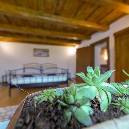 Historicky Dom Kezmarok Villa Buitenkant foto